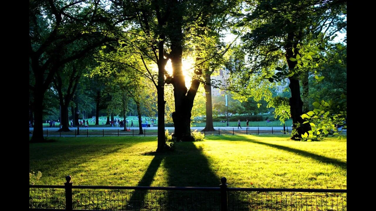 A baby in the park