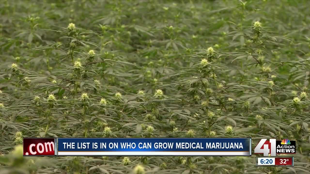 State awards six KC businesses license to grow medical marijuana