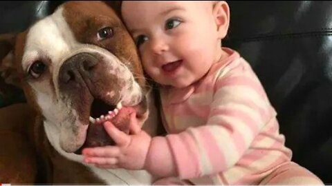 Funny Babies Laughing Hysterically at Dogs Compilation #funnybabydog,