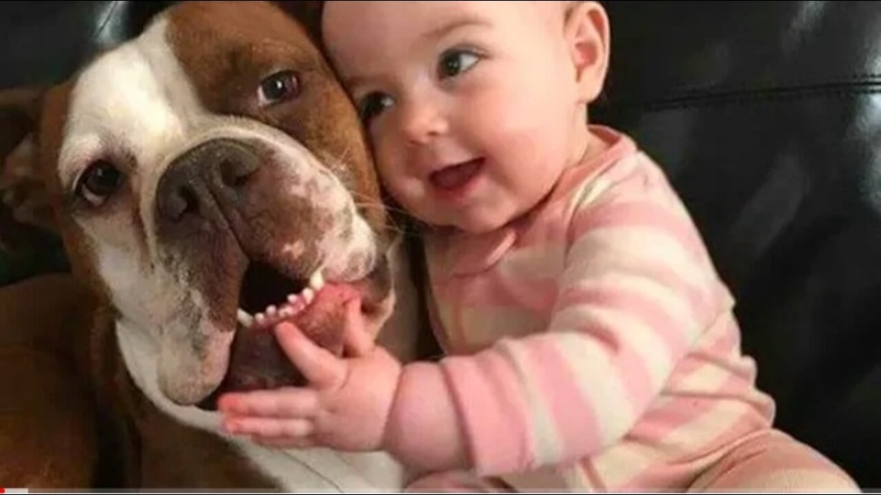 Funny Babies Laughing Hysterically at Dogs Compilation #funnybabydog,