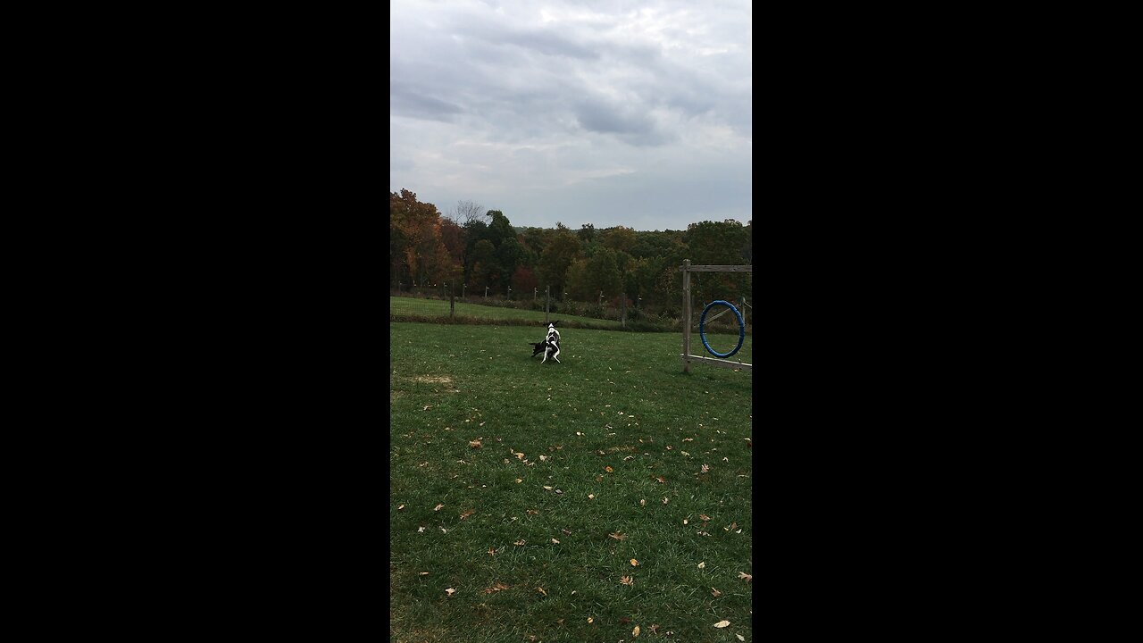 Bonnie and Clyde just having fun!