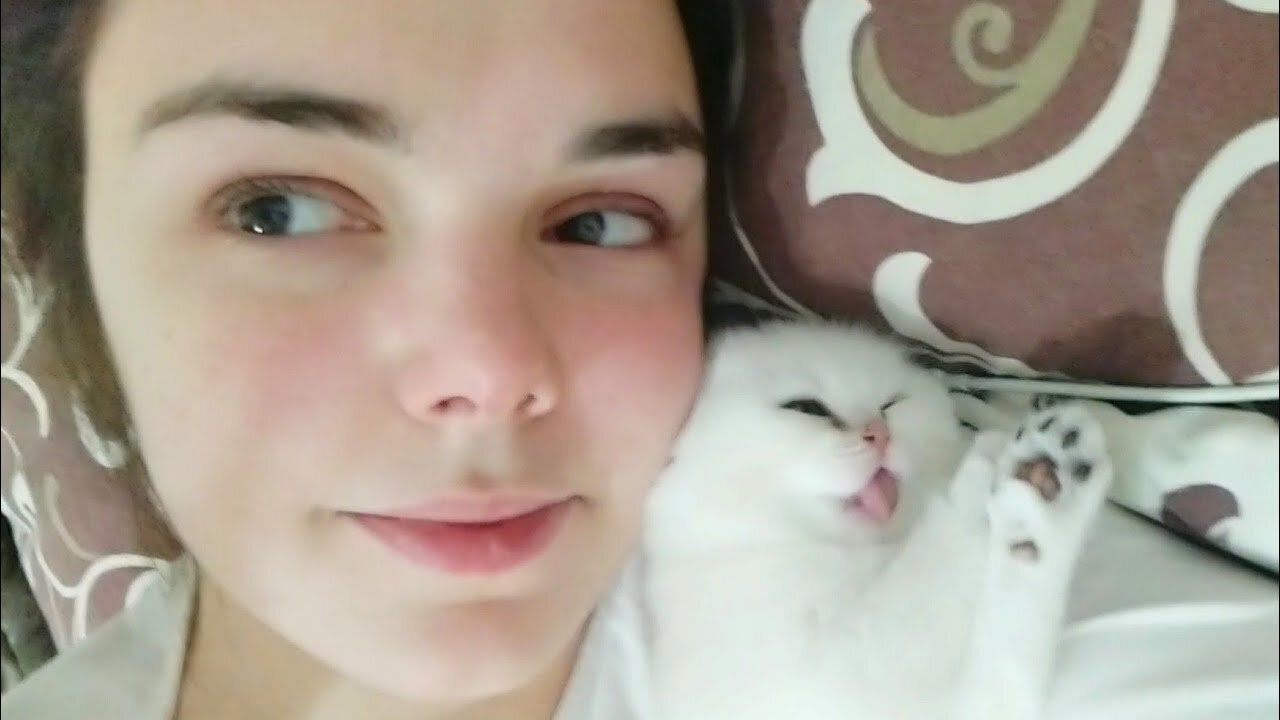 Funny Tiny kitten sneezed at me 🐱🥰 Too CUTE