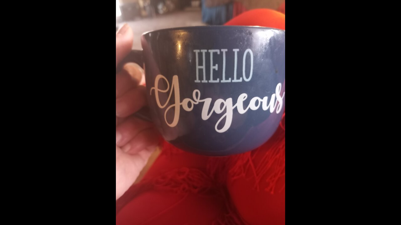 Vlog Update: visitors