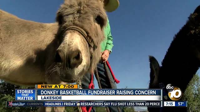 Donkey basketball fundraiser raising concern