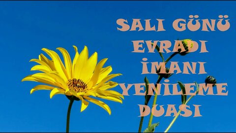 SALI GÜNÜ EVRADI / İMANI YENİLEME DUASI