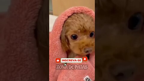 QUANDO SUA MÃE QUER QUE VOCÊ TOME BANHO TODOS OS DIAS 🤣🤣🤣