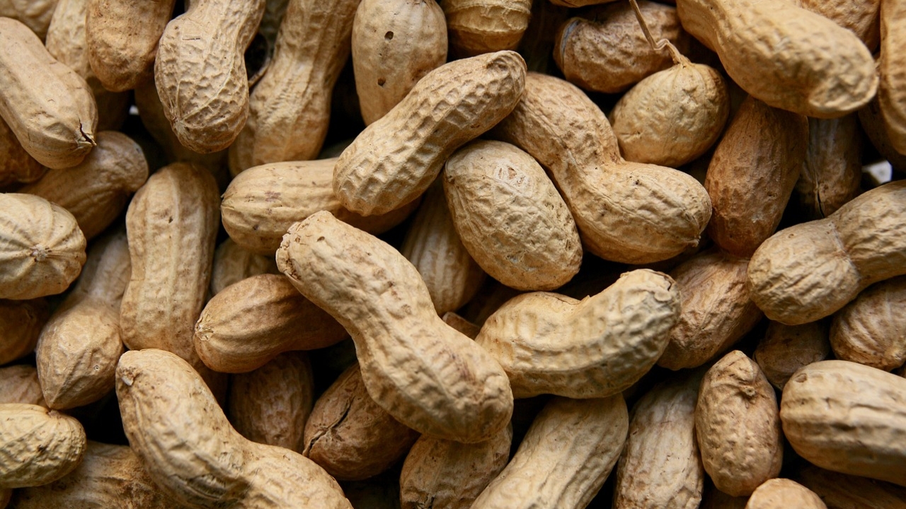 FDA Panel Recommends New Peanut Allergy Treatment