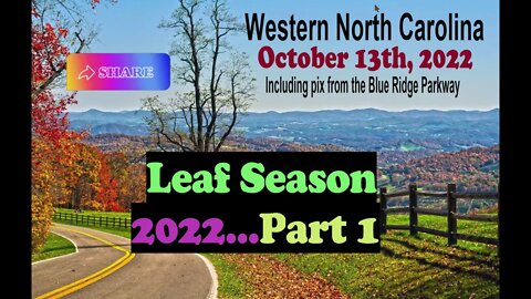 Leaf Season 2022 - Part I 😍🤩🥰