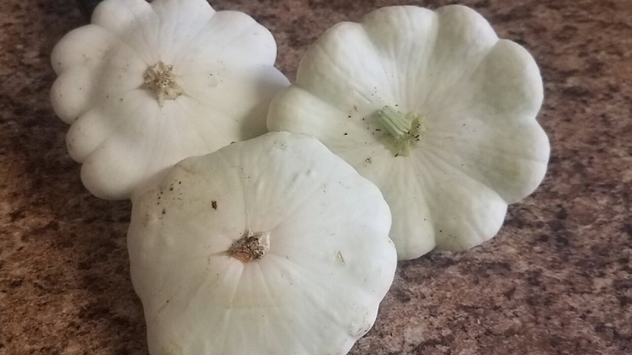 4 Ways to Cook Patty Pan Squash