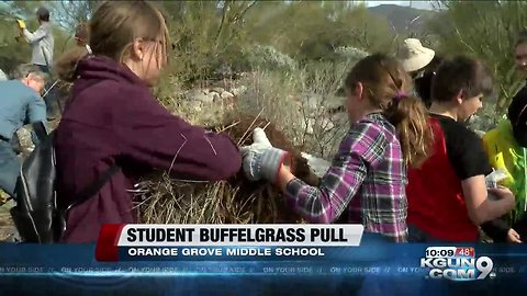 A young girl's mission to protect the Sonoran Desert