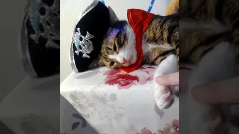 Captain Cat Took a Break #shorts