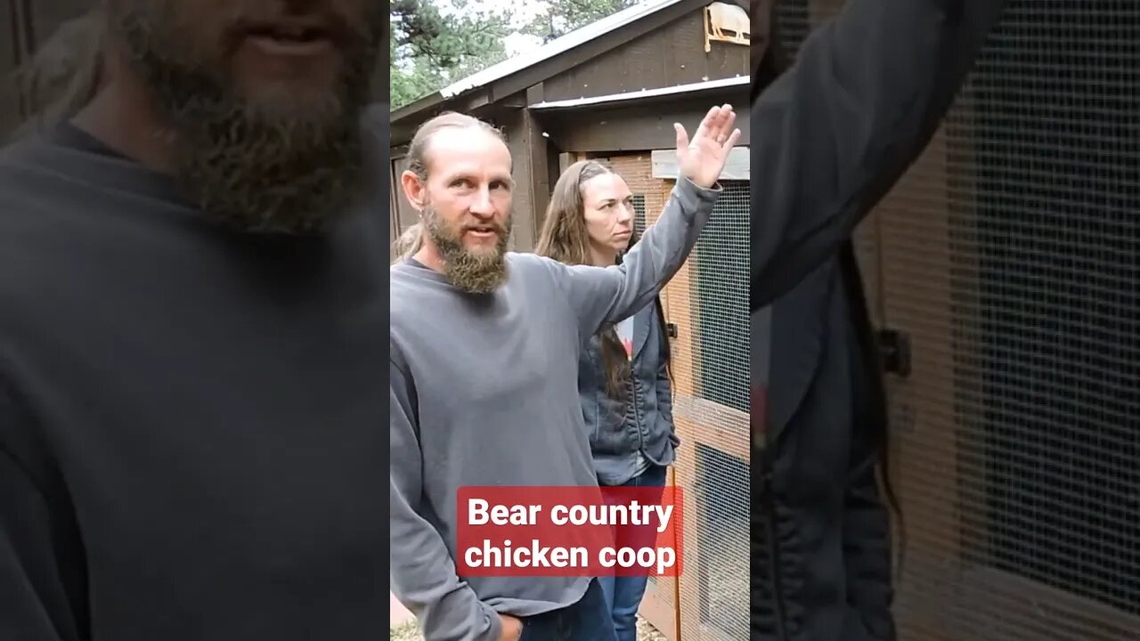 Bear country chicken coop; Rocky Mountain Homestead