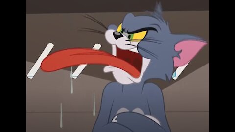 The Tom and Jerry Show Season 3 Episode 11 Auntie Social Part 01