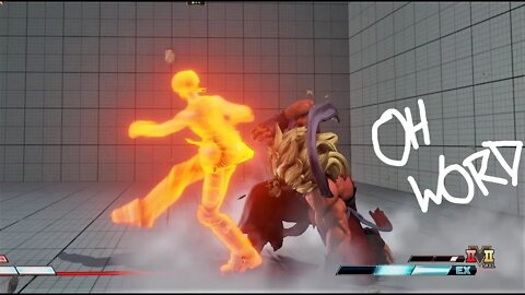 Taunt bait x2 5 parries into RAGING DEMON on Akira ex feet