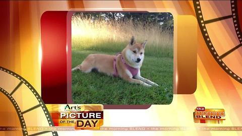 Art's Cameras Plus Picture of the Day for July 28!