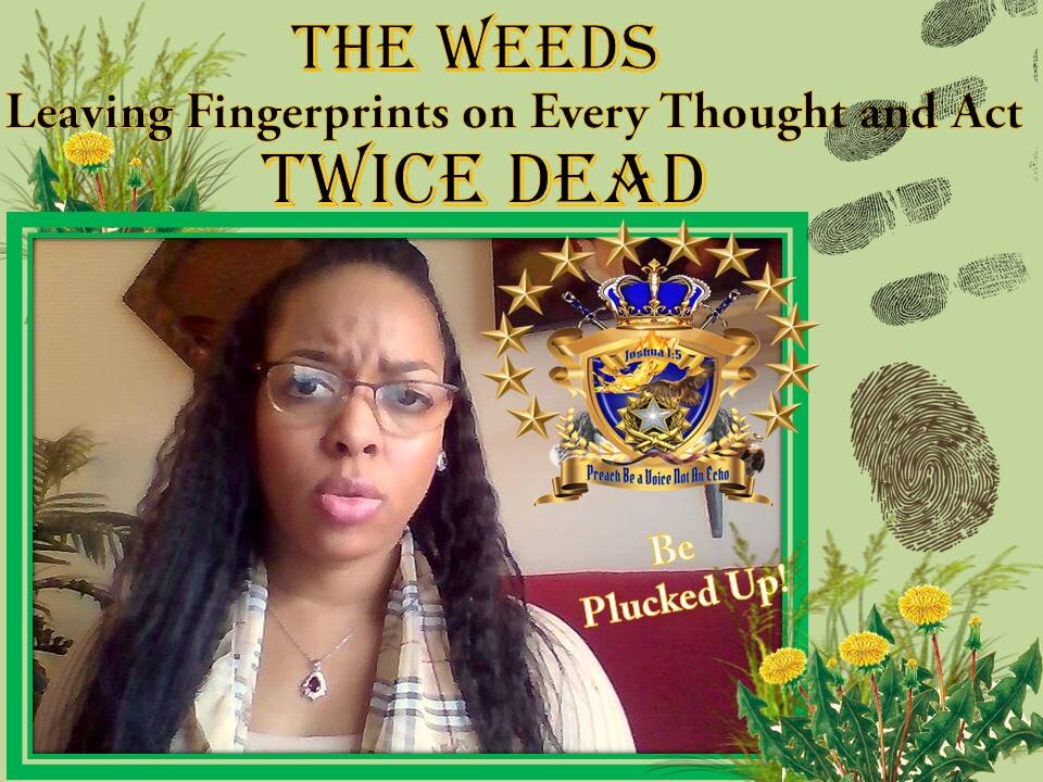 Twice-Dead "WEEDS" Leaving “Dirty Fingerprints on Every Thought & Act "Be Plucked Up"