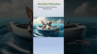 Chihuahua celebrates National Maritime Day. #shorts