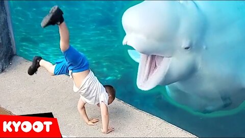 Beluga Whale is AMAZED by Tricks! | Funny Aquarium Videos