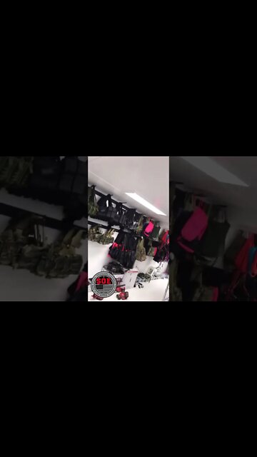 How many is too many? #ducks #shorts #youtubeshorts #farmduck #raisingducks #farmlife #farm