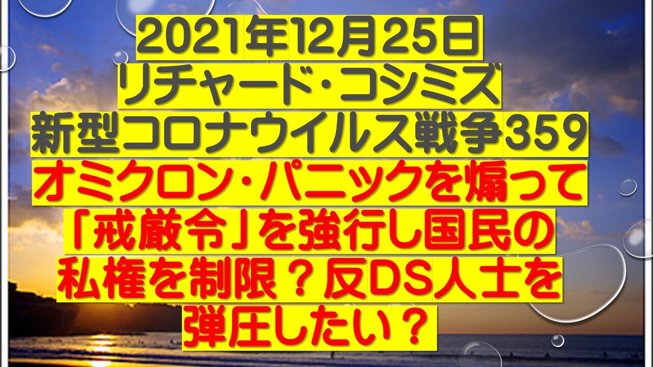 2021年１２月２５日 リチャード・コシミズ 新型コロナウイルス戦争３５９