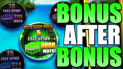 Fu Bamboo Bonus Rounds! High Limit Live Slot Play