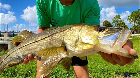 I SHOULD HAVE Brought A BIGGER ROD! 😳 (Monster SPILLWAY Snook)