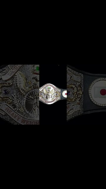 Did You Know WWE Once Had A Martial Arts Championship Title Belt? #shorts