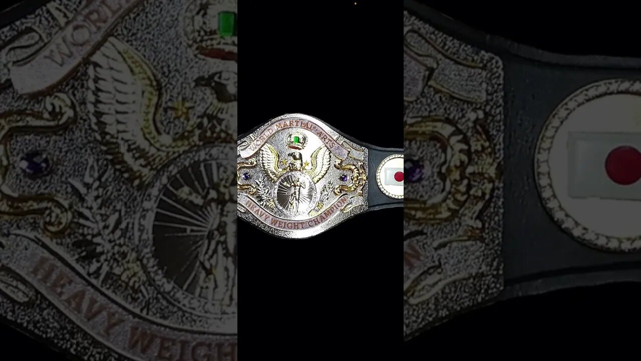 Did You Know WWE Once Had A Martial Arts Championship Title Belt? #shorts