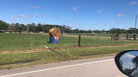 Trump 2020 in Texas