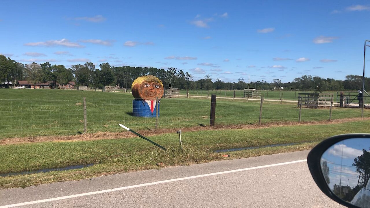 Trump 2020 in Texas