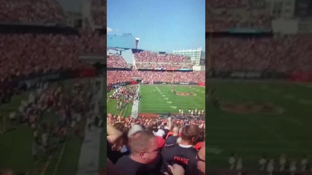 Fly by scares entire stadium 🏟 How many u see?