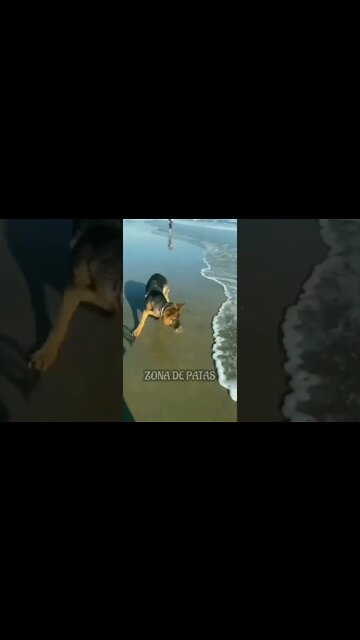 QUANDO VOCÊ NÃO QUER TOMAR BANHO 🤣🤣🤣