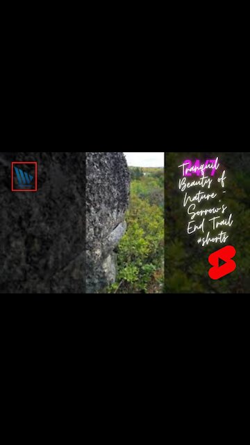 Tranquil Beauty of Nature - Sorrow's End Trail #shorts