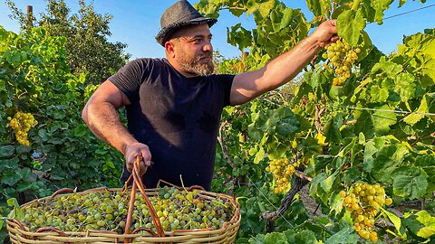 How is Real GRAPE SYRUP prepared in Azerbaijan? Grape dessert recipe