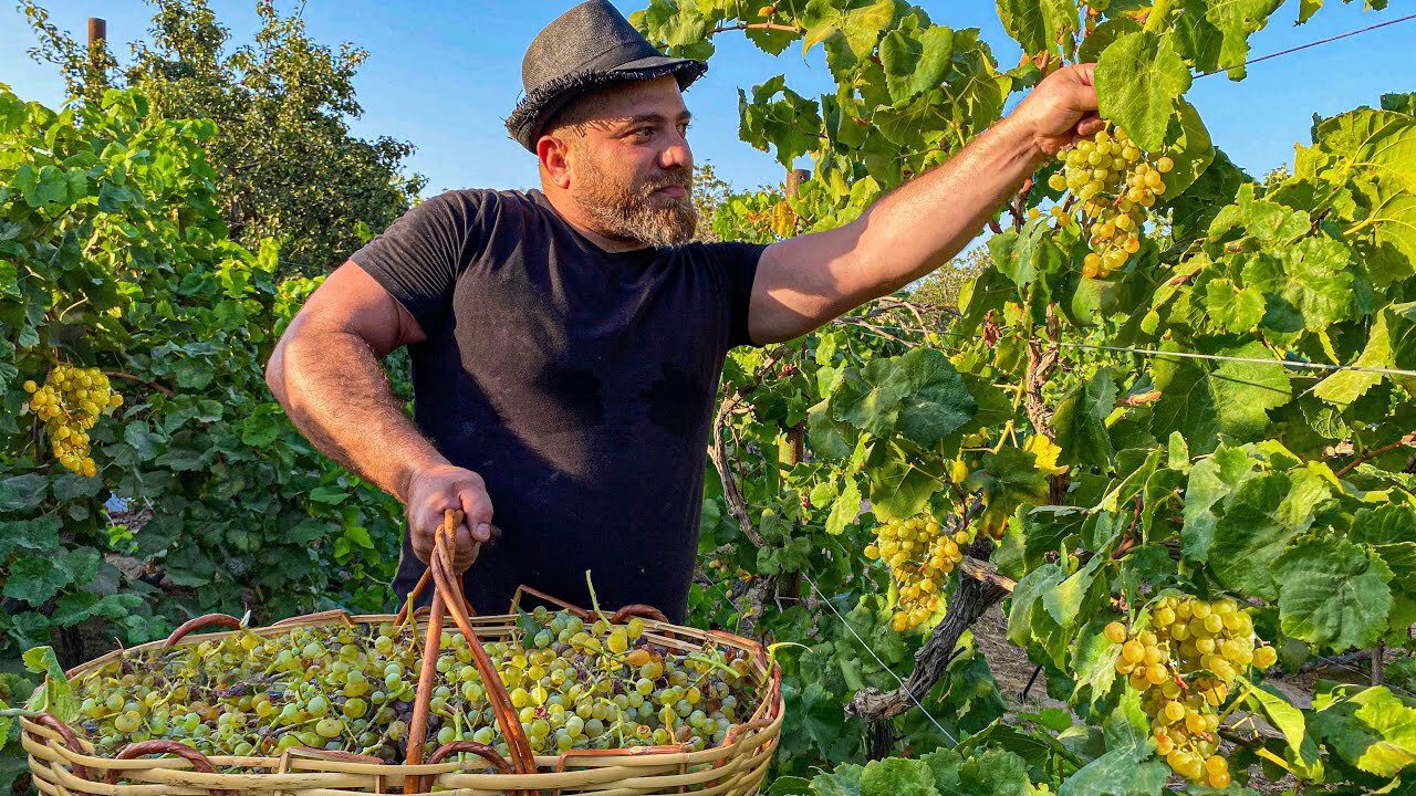 How is Real GRAPE SYRUP prepared in Azerbaijan? Grape dessert recipe