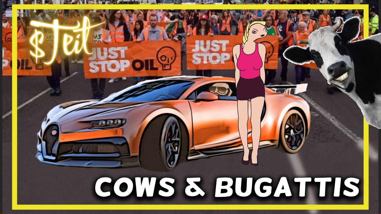 Cows & Bugattis