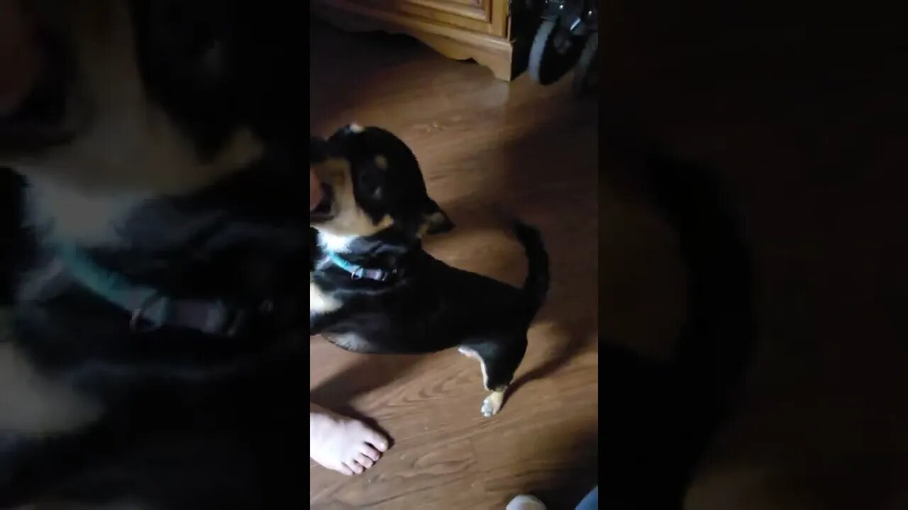 Snickers a bit jealous lol