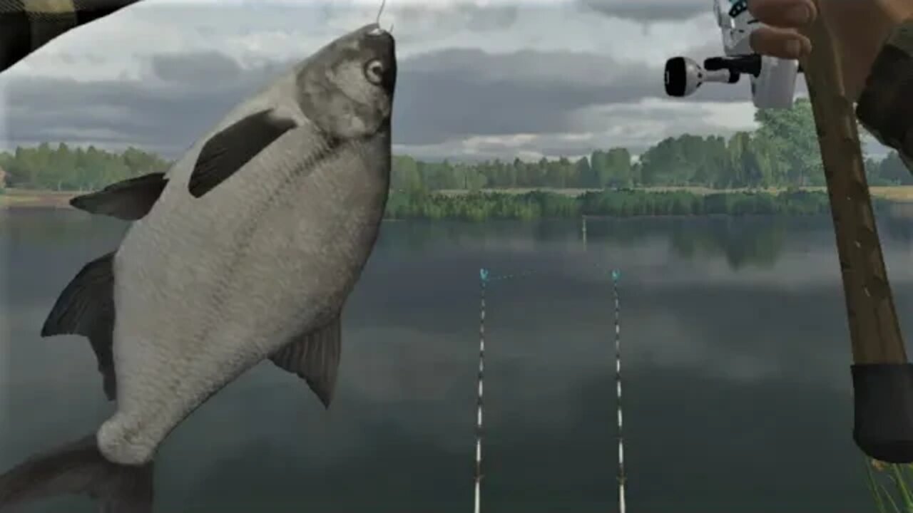 Fishing Planet Folge 478 Brassen in Weeping Willow