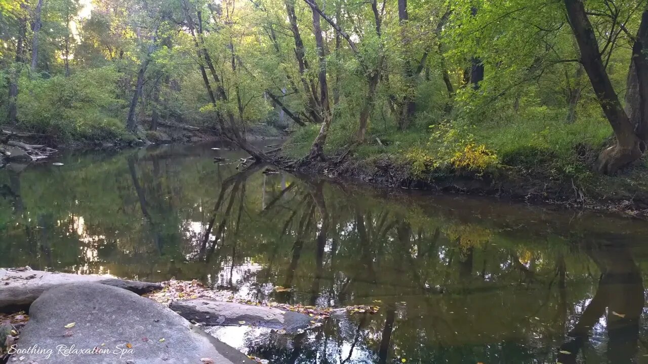 Autumn River Sounds - Relaxing Nature Video - Sleep,Relax,Study