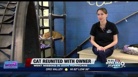 Man reunited with cat 14 years after disappearance