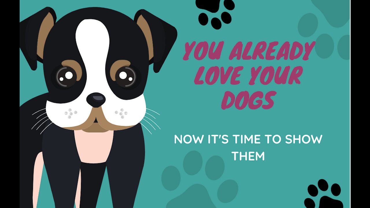 You Already Love Your Dogs: Now It's Time To Show Them