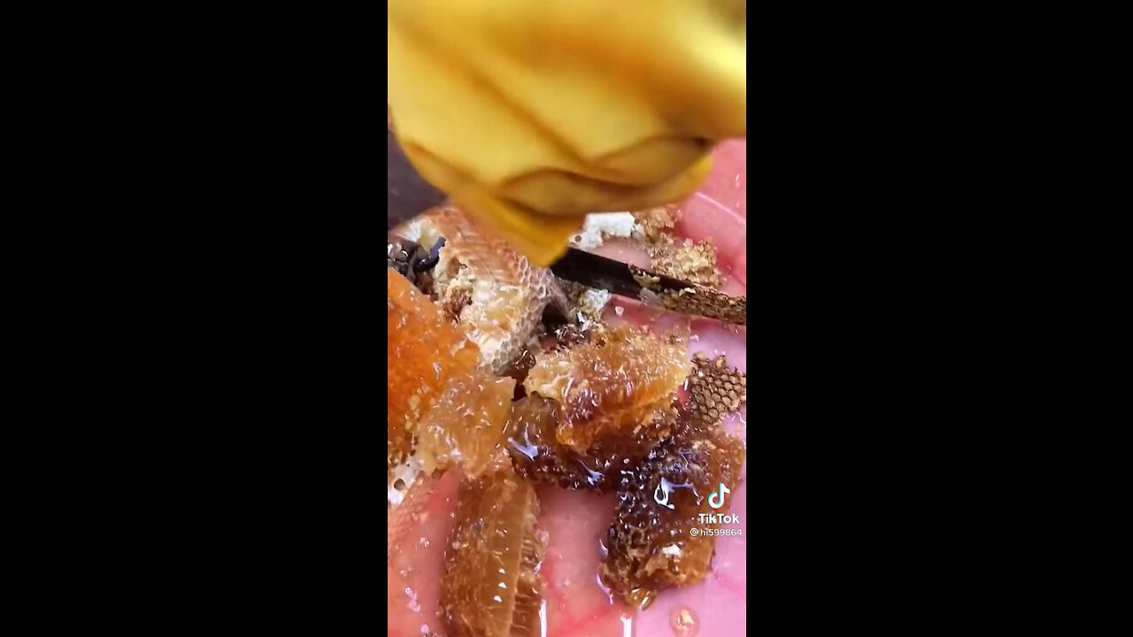 Amazing Honey Video- Viral Video