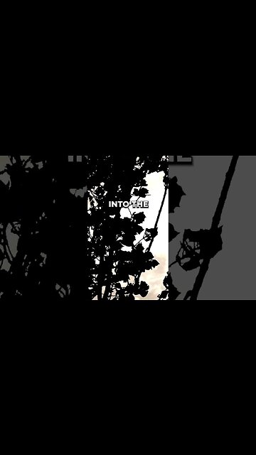 Listen to full meditations at Women's meditation network channel #meditation #sleep #shorts