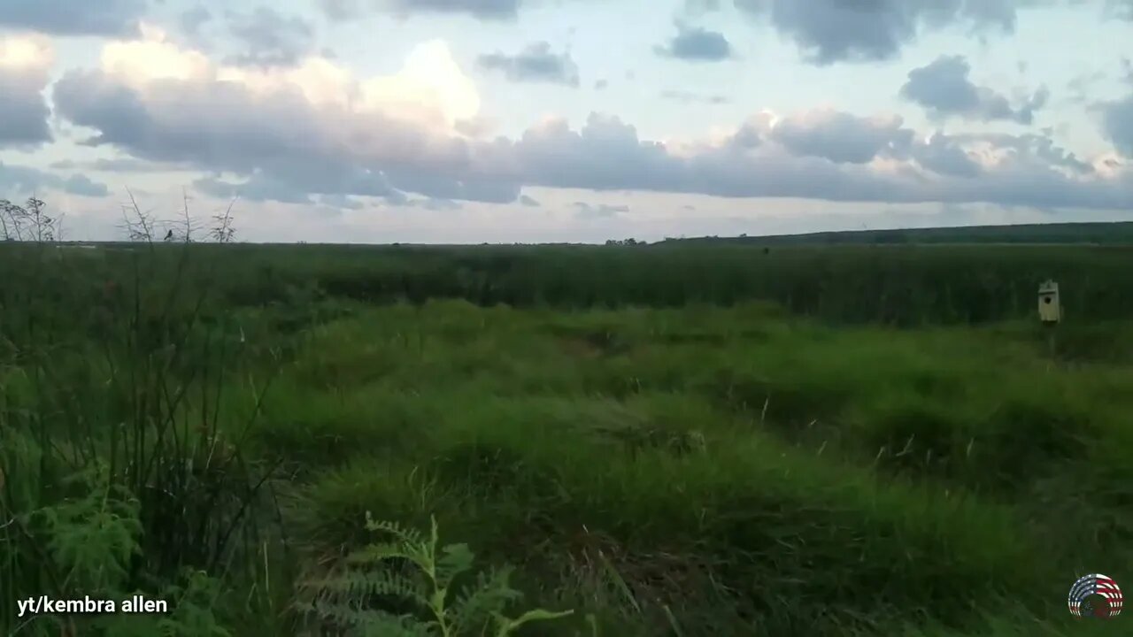 10 Best Places to Visit in Louisiana 2022