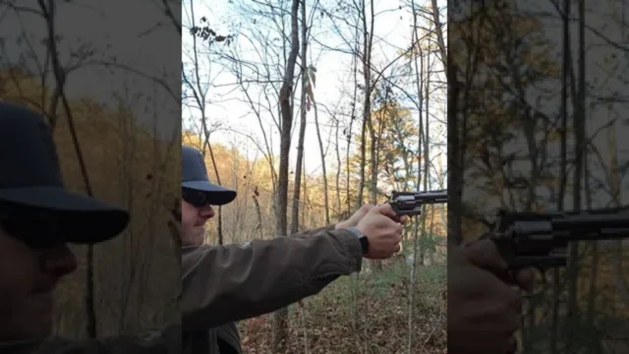 New Colt Python Part 2 of 3 #shorts