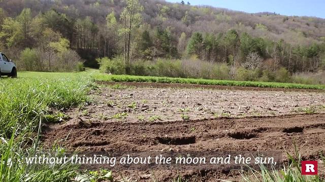 Life as an Urban Farmer | Rare Life