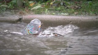 Rain gardens help control heavy spring rains