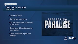 Red tide bloom found at Lynn Hall Park