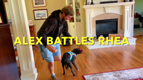 Alex Battles Rhea