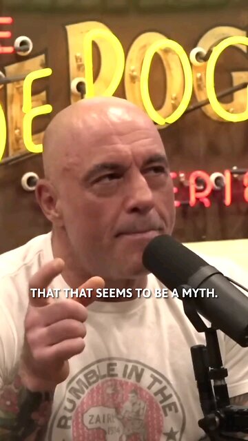 Squirrel Mating Battles #joerogan #squirrel #mating